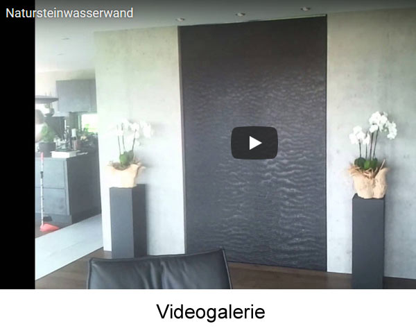 Videos